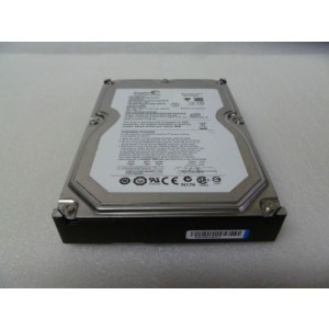 ST3500320NS 500GB 3.5inch 72K RPM SATA II - Non hotplug HDD